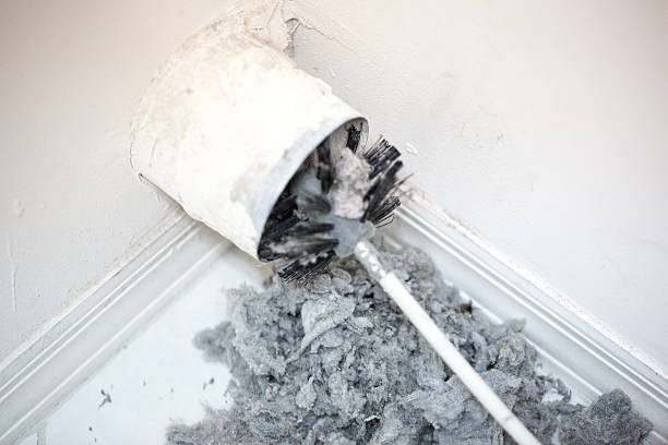 Professional Airduct Cleaning in Lake Butler, FL